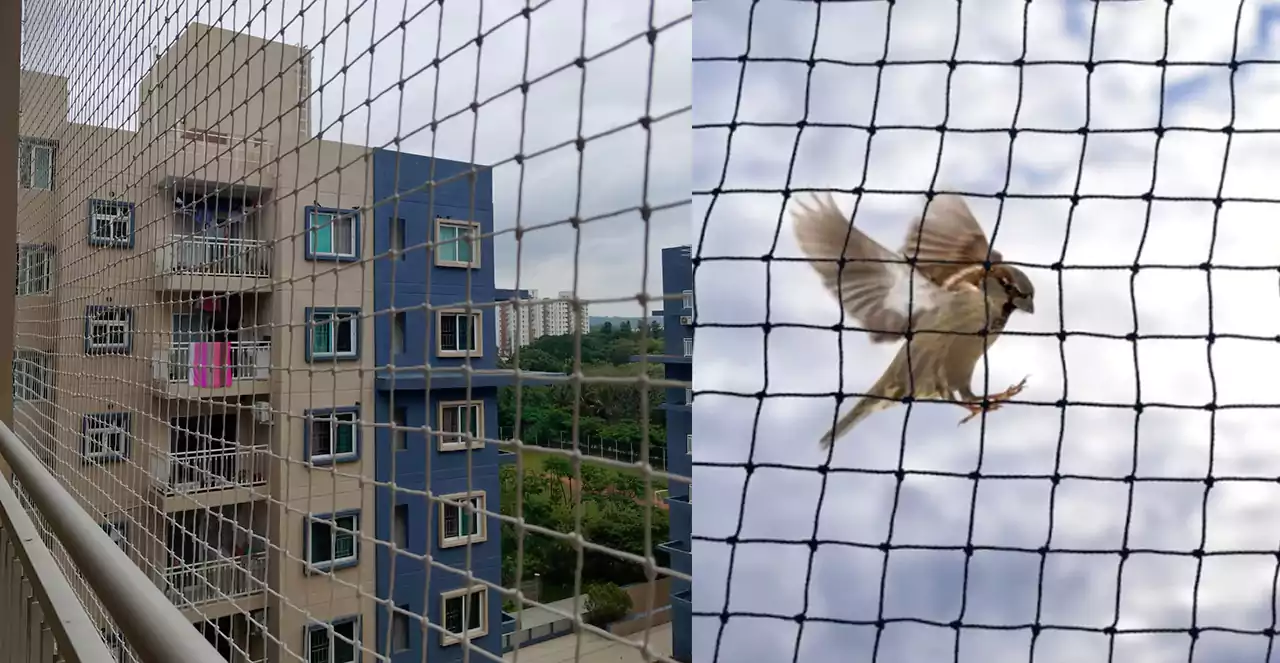 Anti bird Nets