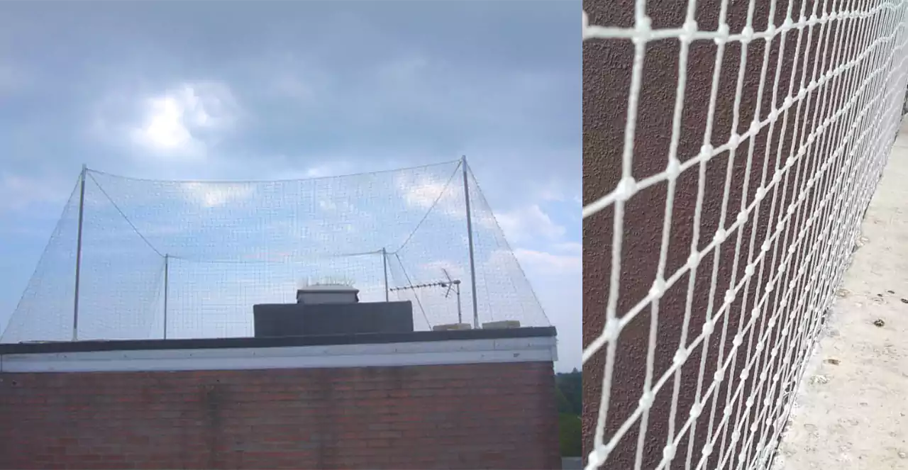 Anti Seagull Nets