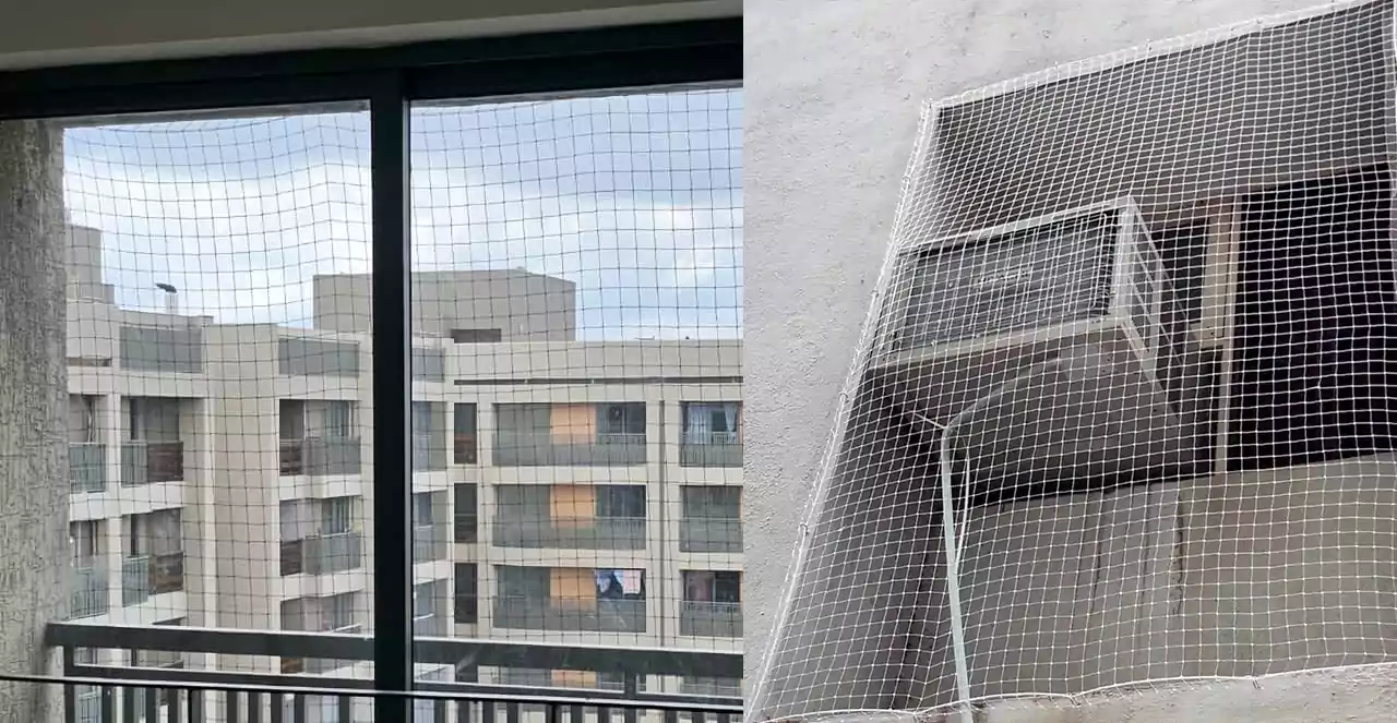 Pigeon Net for Windows