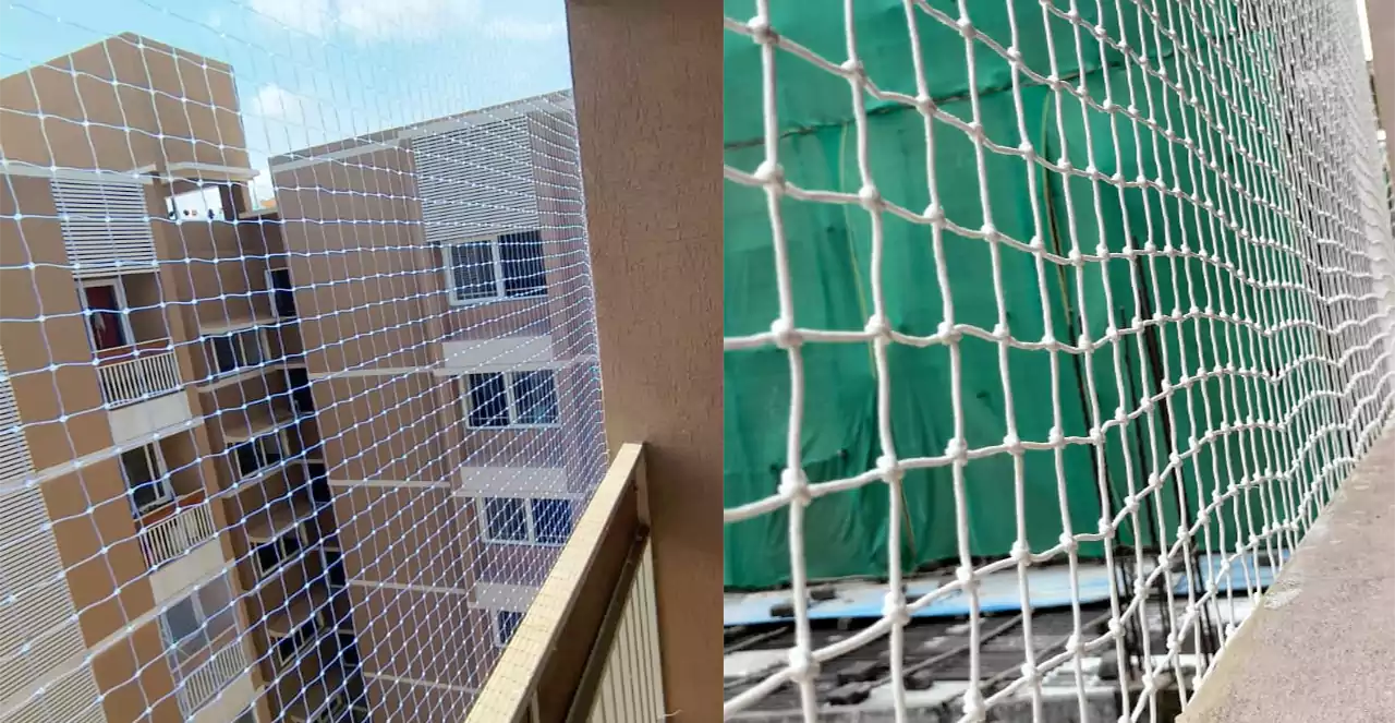 Pigeon Nets Installation