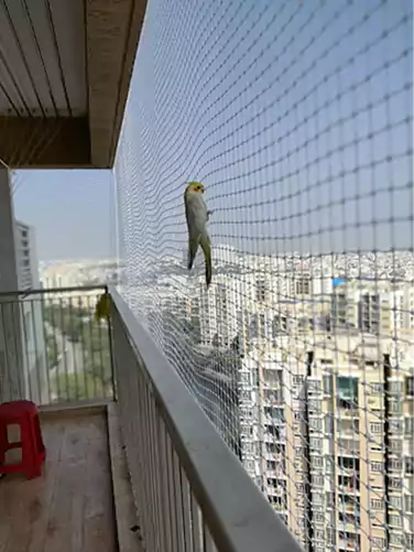 Pets Safety Nets