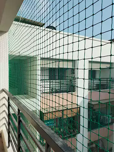 Pigeon Nets Installation