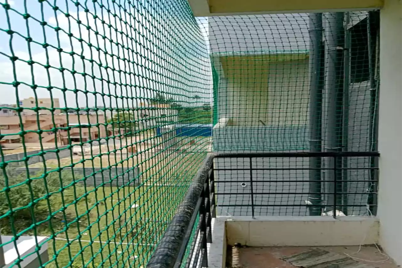 Pigeon Nets