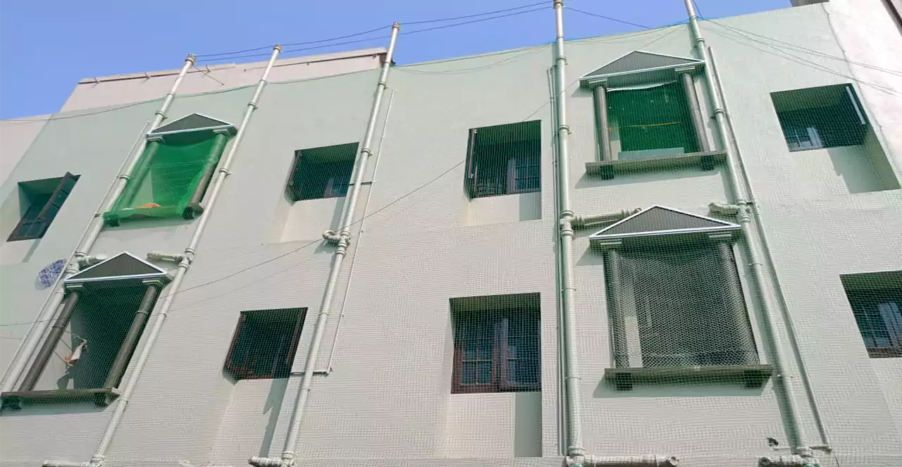 Building Safety Nets