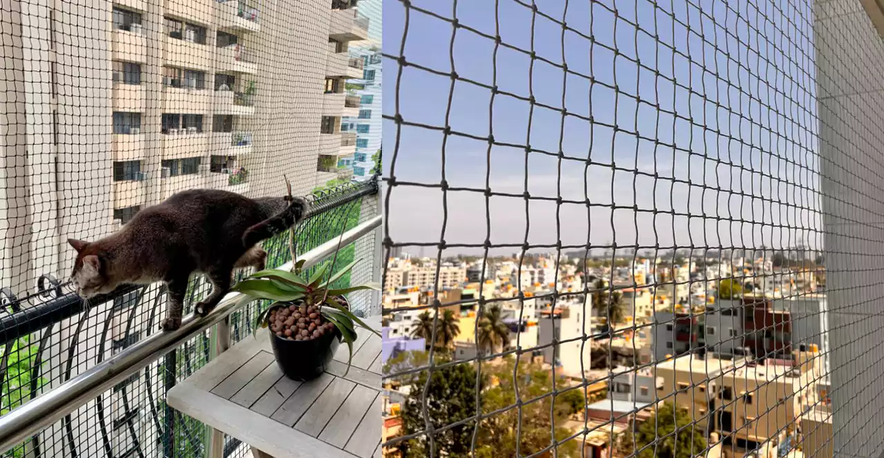 Pets Safety Nets